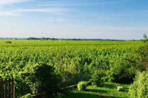 Appartement avec vue sur les vignes à Gevrey